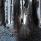 Wytches Volume 1